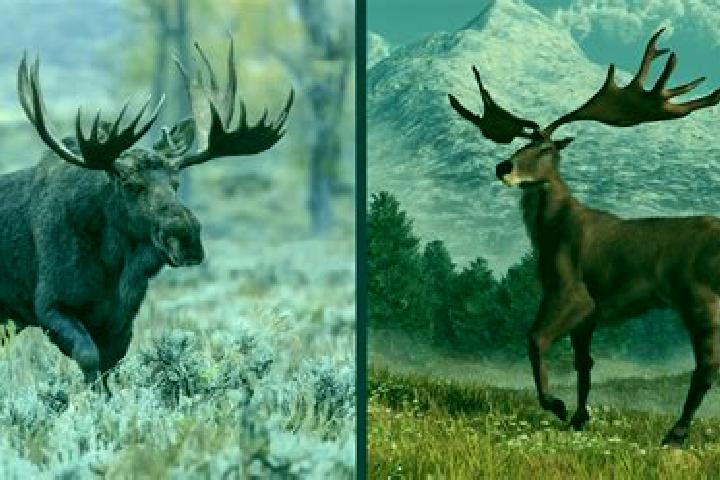 Pirots 3 vs Pirots 4: Comparing ELK s Avian Slot Heavyweights